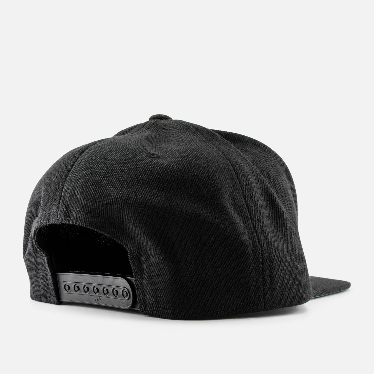 ORGNX Logo Snapback Back